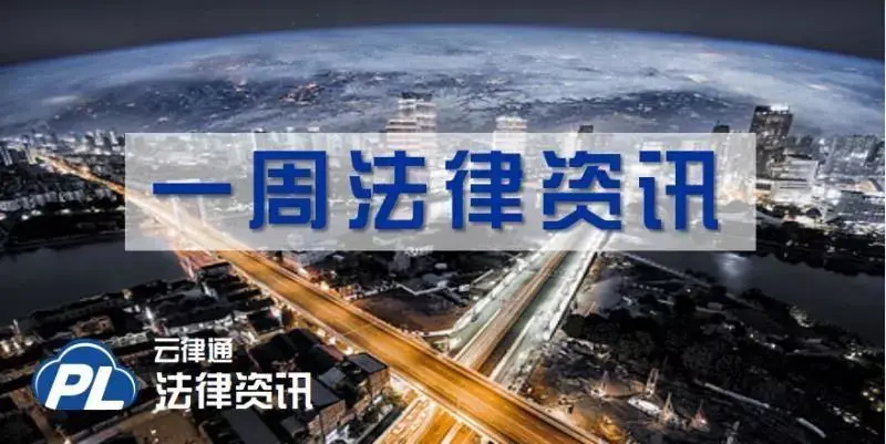 法律-头图.jpg